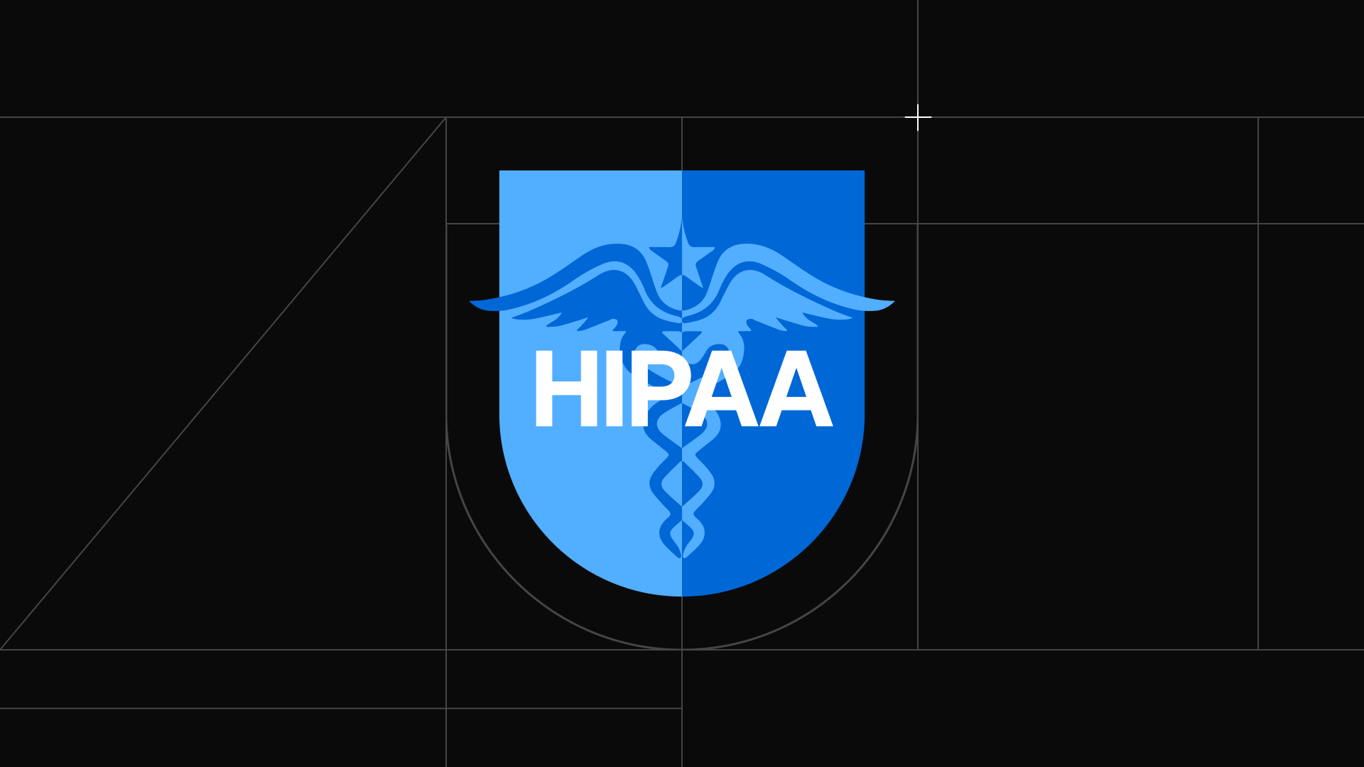 HIPAA blog graphic (1).png