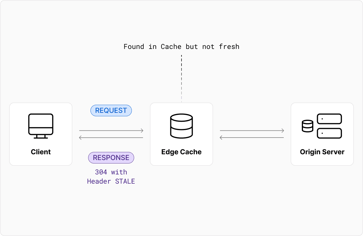STALE: The response was served from the cache. A background request to the origin server was made to update the content.