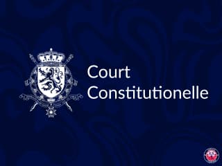 Constitutional Court of Belgium